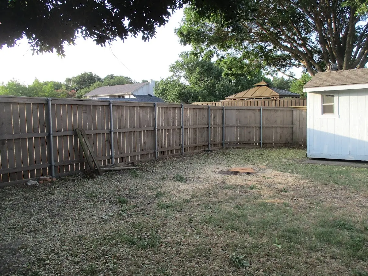 Cleared yard after professional tree removal in Dayton